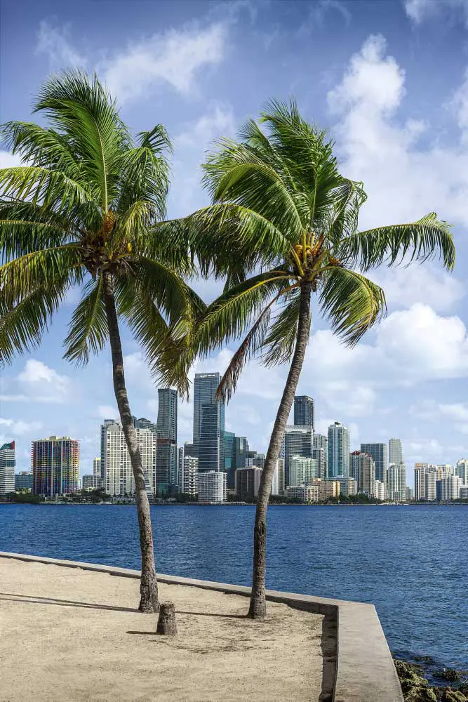 Miami 2 - Thumb